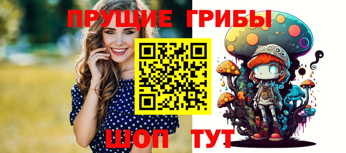 Псилоцибиновые грибы GOLDEN TEACHER  Галлюциногенные грибы Cubensis  Вход с VPN  Энгельс 